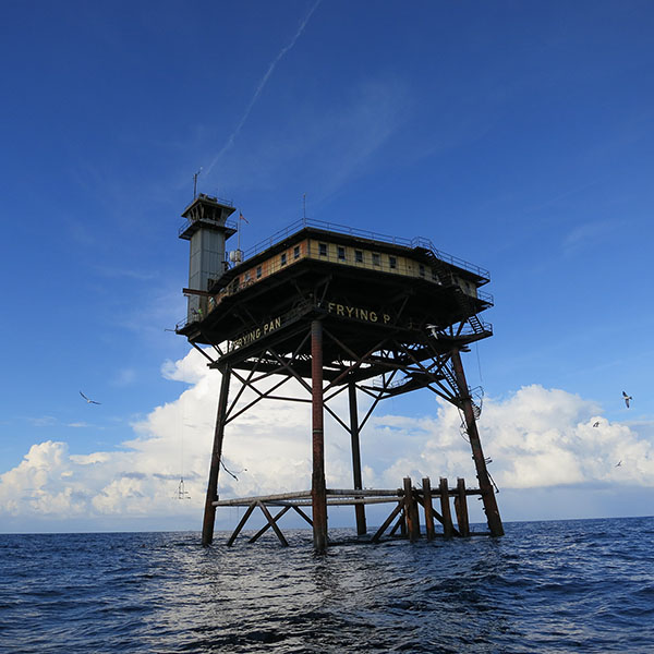 Book Your Frying Pan Tower Adventure