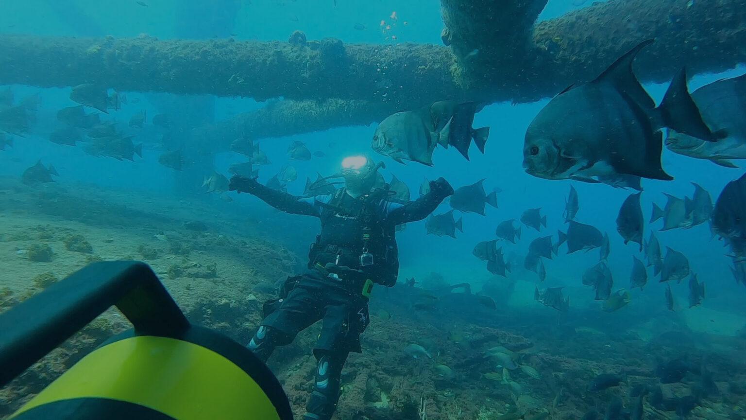 Protect marine life below Frying Pan Tower