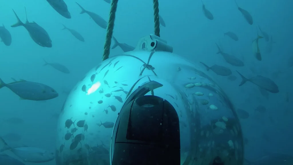 FPTower Inc. Underwater Live Streaming